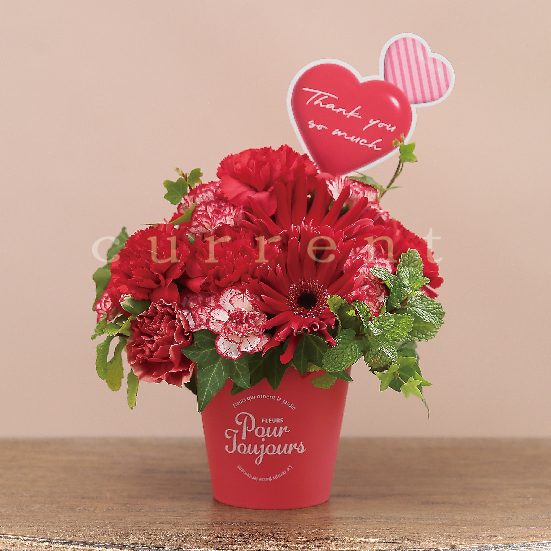 8470_エコプラポット ポペル