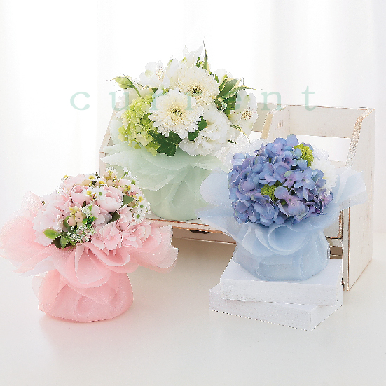 8466_イージーポットカバー セレーヌ