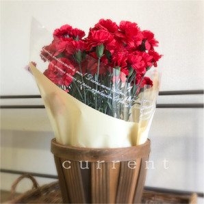 7504 フレンチポットカバー 花器 花材 ラッピング リボン等 花資材の通販 株式会社カレント